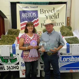 Meet your Posher, Amy